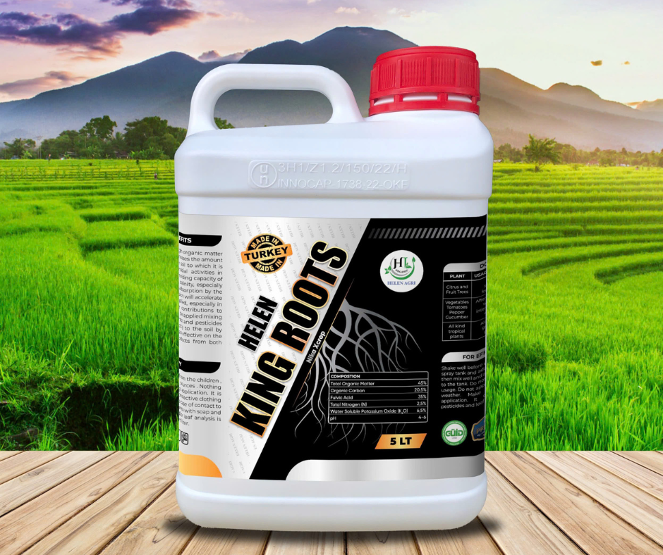 HELEN KING ROOTS – SIÊU KÍCH RỄ, NUÔI TRÁI CỰC ĐỈNH – BÙNG NỔ SỨC SỐNG CÂY TRỒNG!