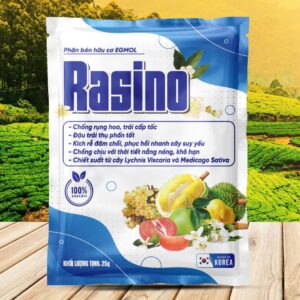 Rasino 25g - Chiết xuất từ cây Lychnis Viscaria và Medicago Sativa nhập khẩu từ Hàn Quốc